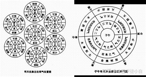 強水運人|五運六氣